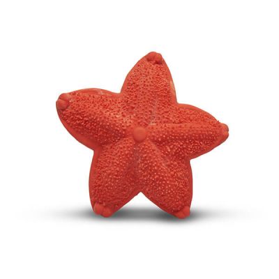 Gioco dentizione stella marina - Lanco