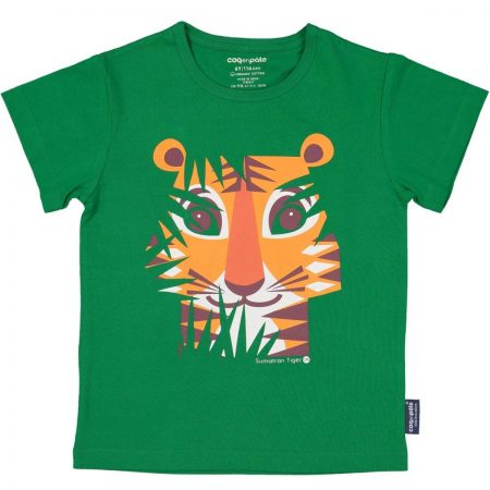T-shirt tigre 6 anni - Coq en Pâte