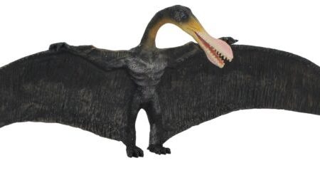 Ornithocheirus - Collecta