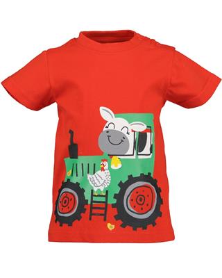 Maglia Manica Corta Red Blue Farm - Blue Seven
